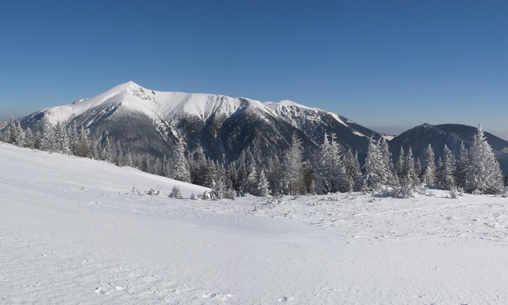 gruenschacher